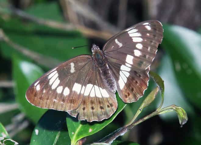 �A�T�}�C�`�����W